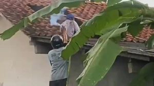 Tragis! Diserang Tawon Vespa Saat Periksa Toren, Masinis di Cilacap Meninggal Dunia