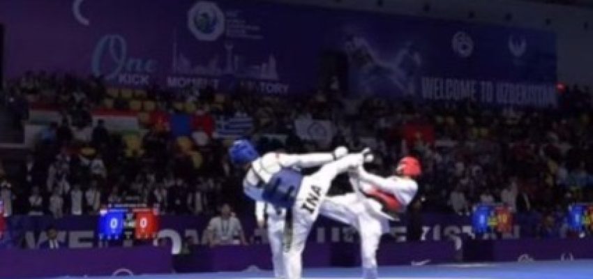 886e3b29 7449 40ef b619 995131b07f8f