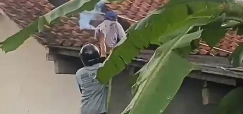 Tragis! Diserang Tawon Vespa Saat Periksa Toren, Masinis di Cilacap Meninggal Dunia